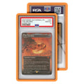 Standard Case (PSA) Orange